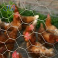 Galvanized Iron Chicken Kennel Hexagonal Wire Mesh